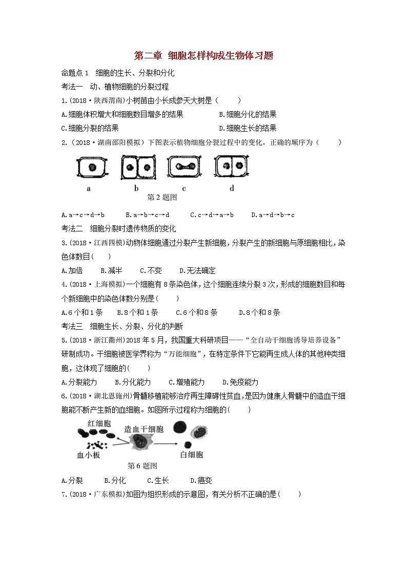 初中生物中考复习 中考生物总复习第一部分基醇点巩固第二单元生物体的结构层次第二章细胞怎样构成生物体习第1页