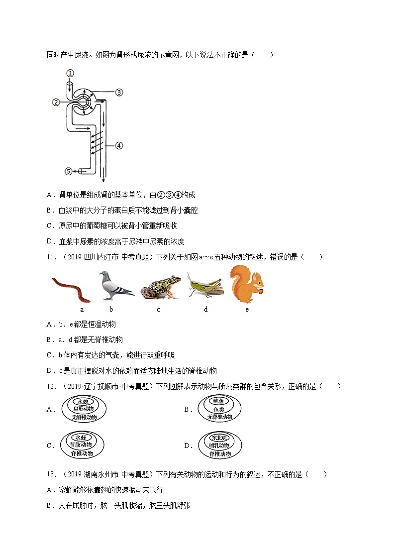 初中生物中考复习 重组卷01-冲刺2021年中考生物精选真题重组卷(人教版)(原卷版)第3页