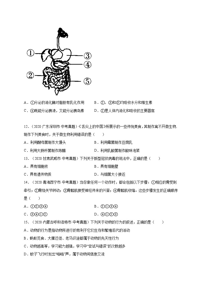 初中生物中考复习 重组卷01-冲刺2021年中考生物精选真题重组卷(通用版)(原卷版)第3页