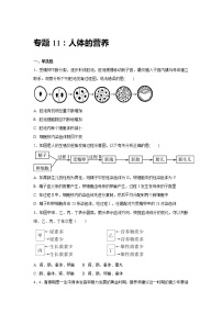 初中生物中考复习 中考生物会考复习专项训练11：人体的营养（基础版，含详解）