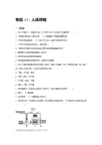 初中生物中考复习 中考生物会考复习专项训练13：人体呼吸（基础版，含详解）