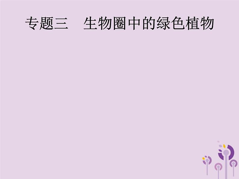 初中生物中考复习 课标通用中考生物总复习专题三生物圈中的绿色植物课件第1页