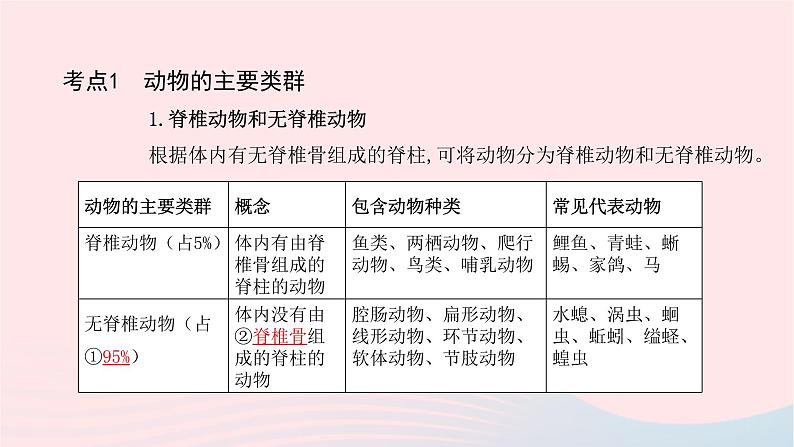 初中生物中考复习 中考生物总复习第一部分基醇点巩固第五单元生物圈中的其他生物第一章动物的主要类群课件第3页