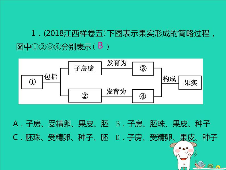 初中生物中考复习 中考生物总复习仿真测试卷二测试范围:生物与环境 生物圈中的绿色植物课件02