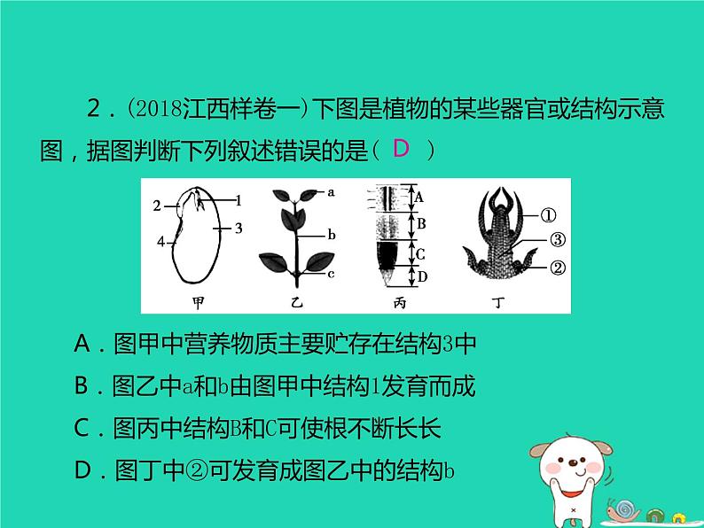 初中生物中考复习 中考生物总复习仿真测试卷二测试范围:生物与环境 生物圈中的绿色植物课件03