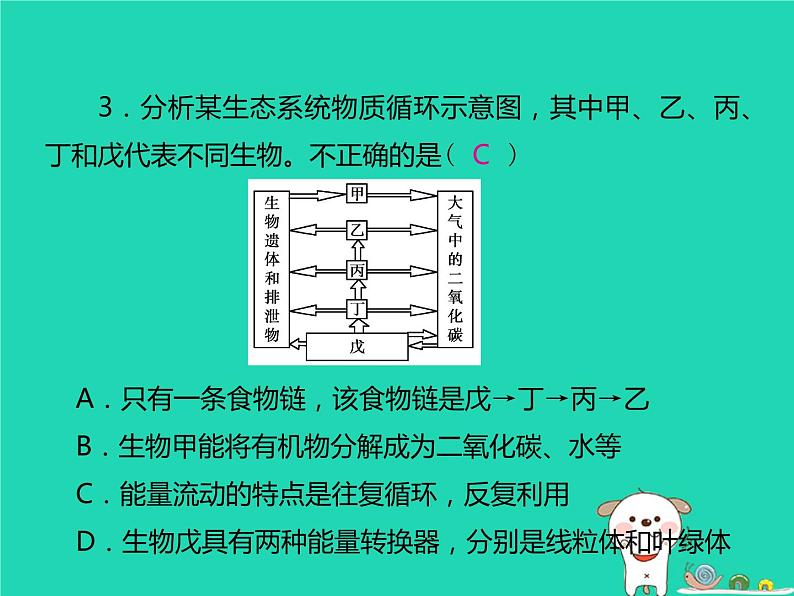 初中生物中考复习 中考生物总复习仿真测试卷二测试范围:生物与环境 生物圈中的绿色植物课件04