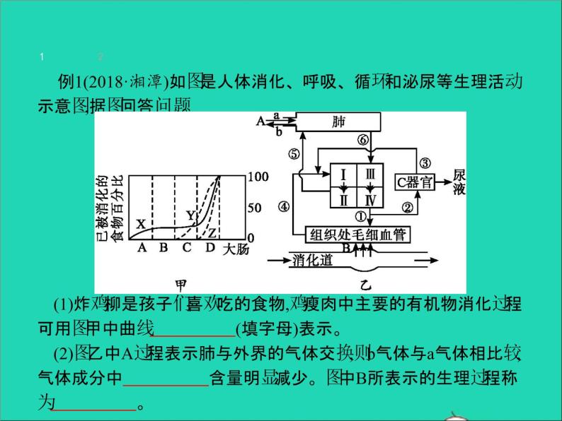 初中生物中考复习 中考生物总复习专题四生物圈中的人课件04