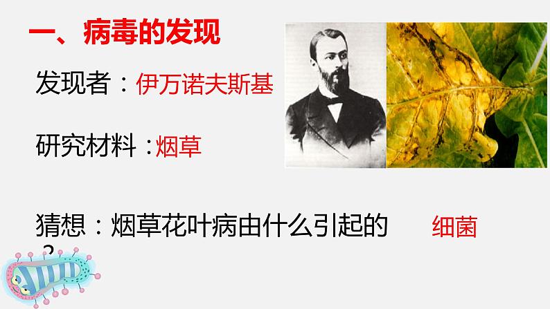 八年级上册第五章病毒课件PPT第4页