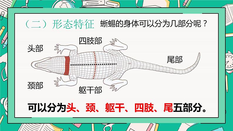 人教版八年级上册第五节两栖动物和爬行动物课件PPT第8页