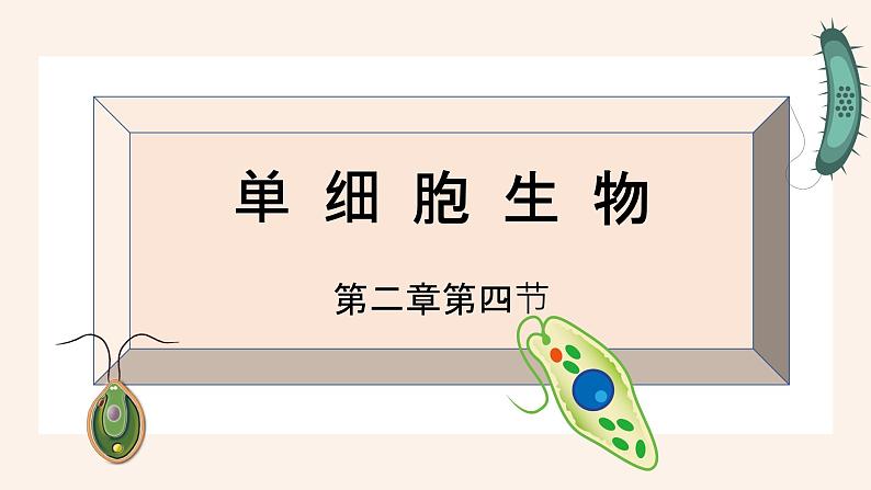 人教版第四节单细胞生物课件PPT02