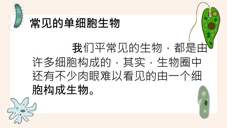人教版第四节单细胞生物课件PPT03