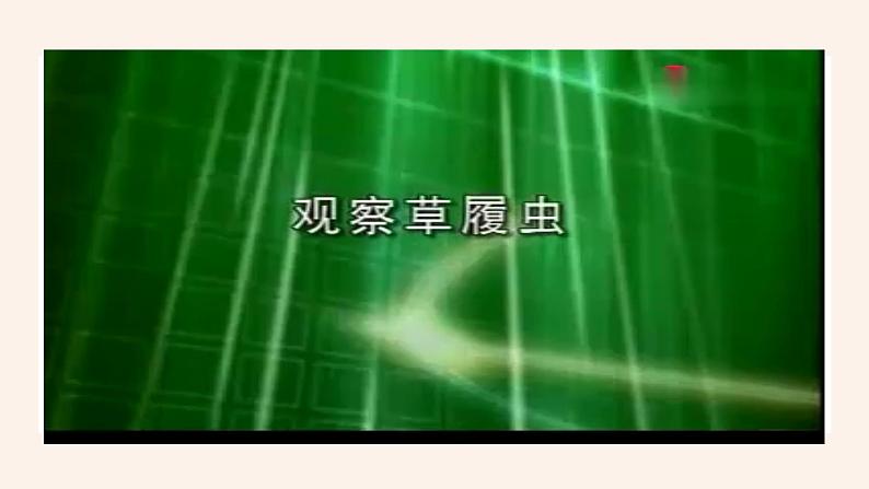人教版第四节单细胞生物课件PPT06