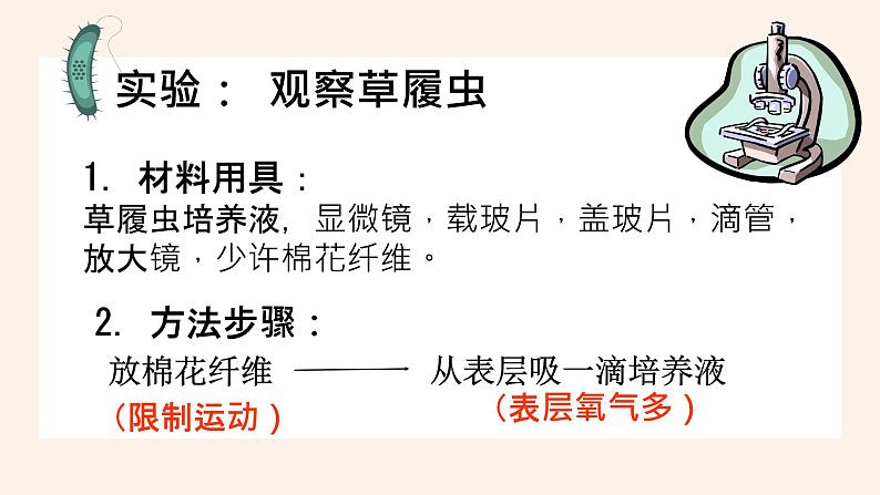 人教版第四节单细胞生物课件PPT07