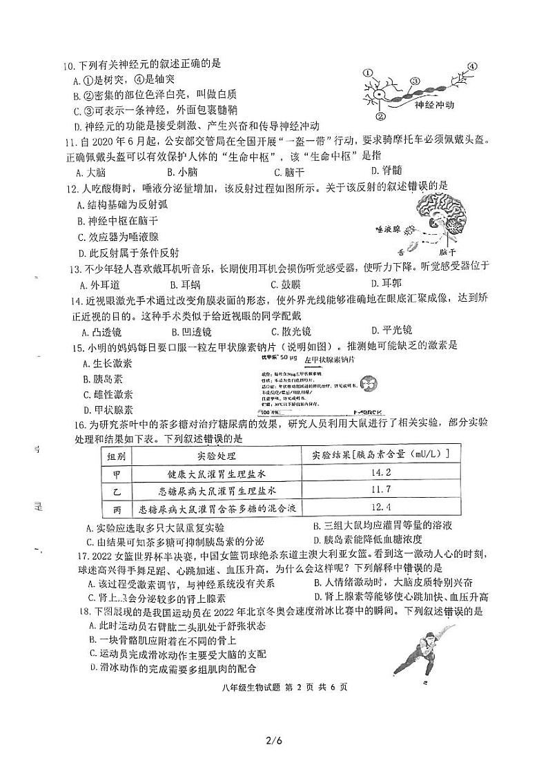 江苏省徐州市邳州市2022-2023学年八年级上学期期末生物试题02
