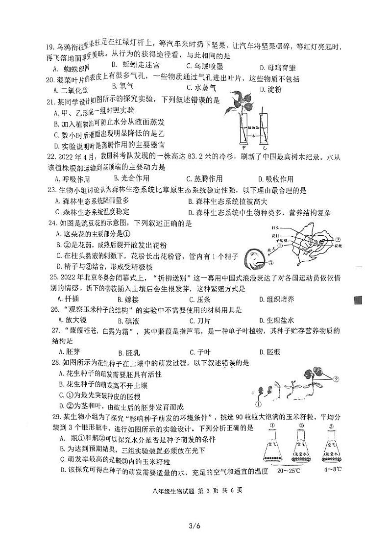 江苏省徐州市邳州市2022-2023学年八年级上学期期末生物试题03