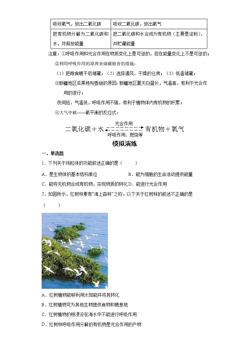 备战2023生物新中考二轮复习重难突破(浙江专用)专题04 植物体内物质的转化(原卷版)第2页