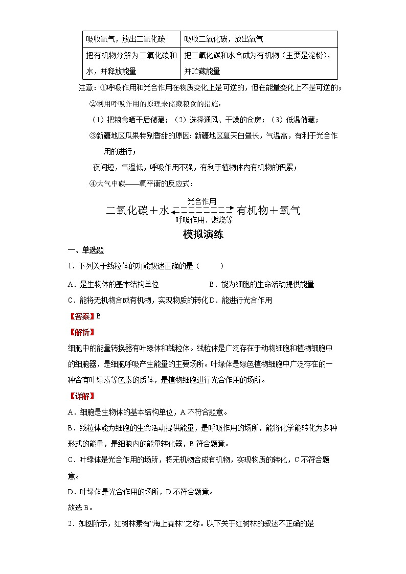 备战2023生物新中考二轮复习重难突破(浙江专用)专题04 植物体内物质的转化(解析版)第2页