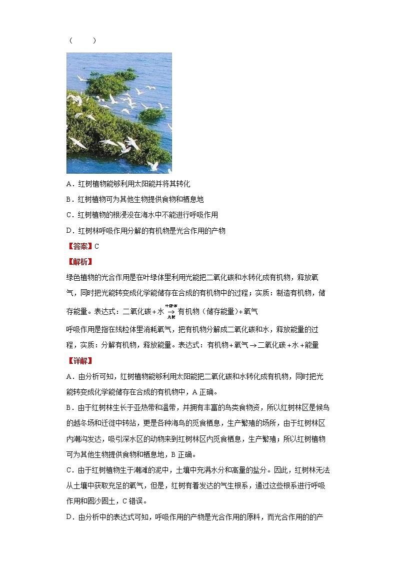 备战2023生物新中考二轮复习重难突破(浙江专用)专题04 植物体内物质的转化(解析版)第3页