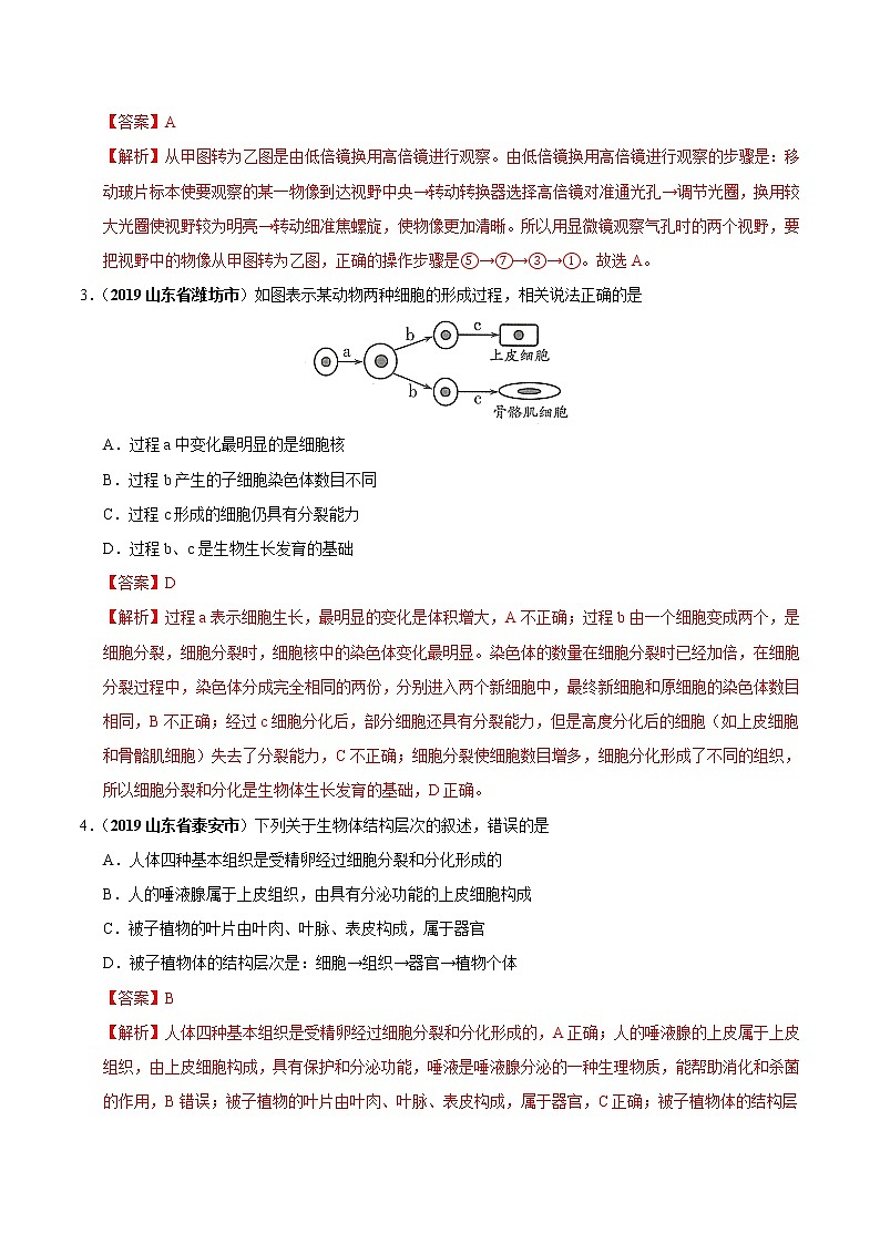 初中生物中考复习 专题01 生物体的结构层次(第01期)-2019年中考真题生物试题分项汇编(解析版)第2页