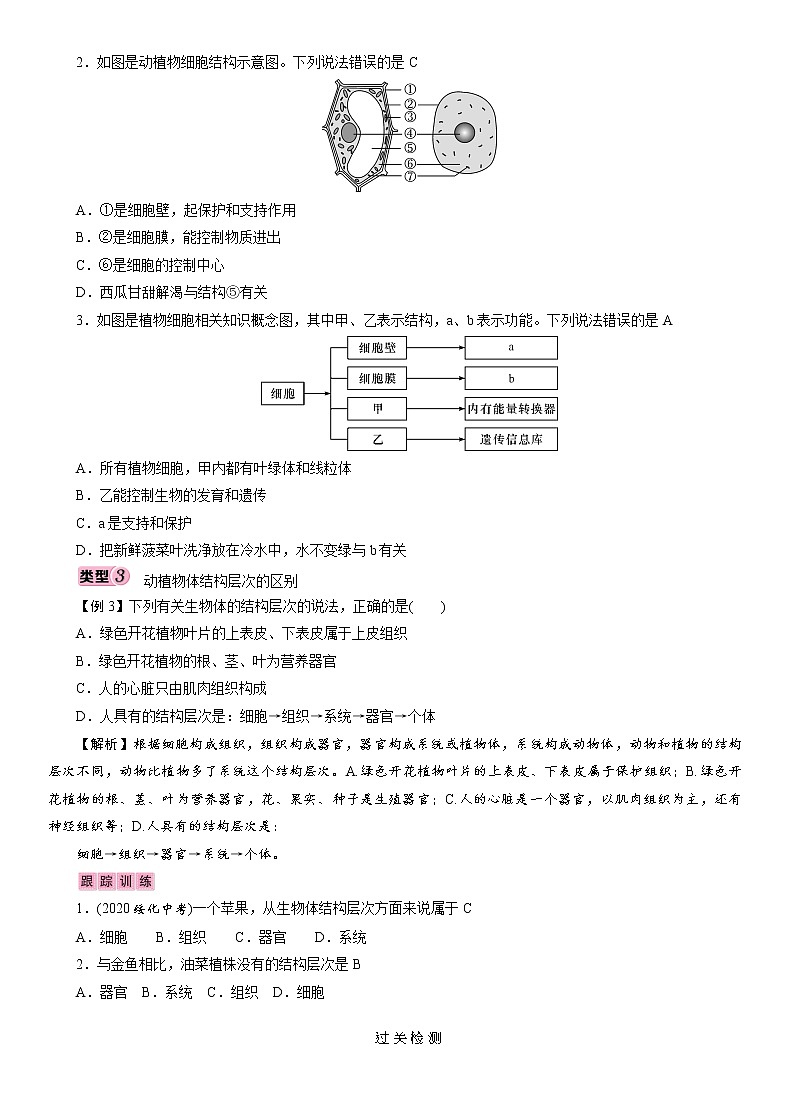 初中生物中考复习 专题2 生物体的结构层次 讲义 2021年中考生物突破复习第3页