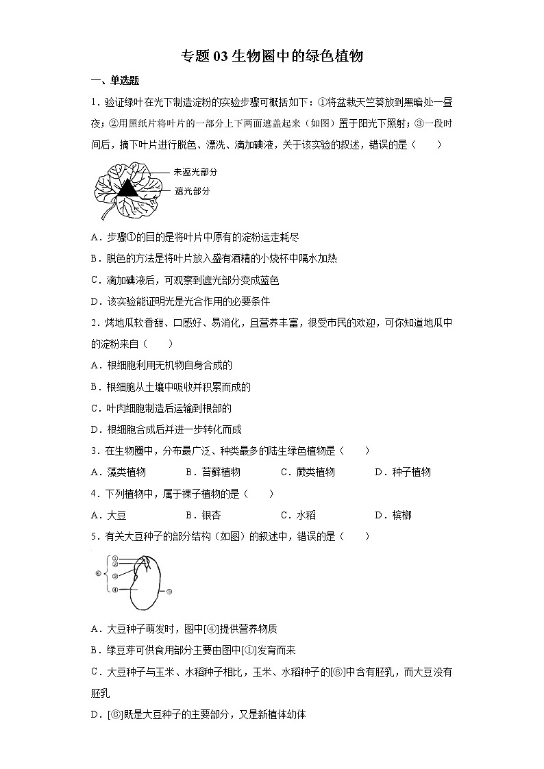 初中生物中考复习 专题03 生物圈中的绿色植物(原卷版)01