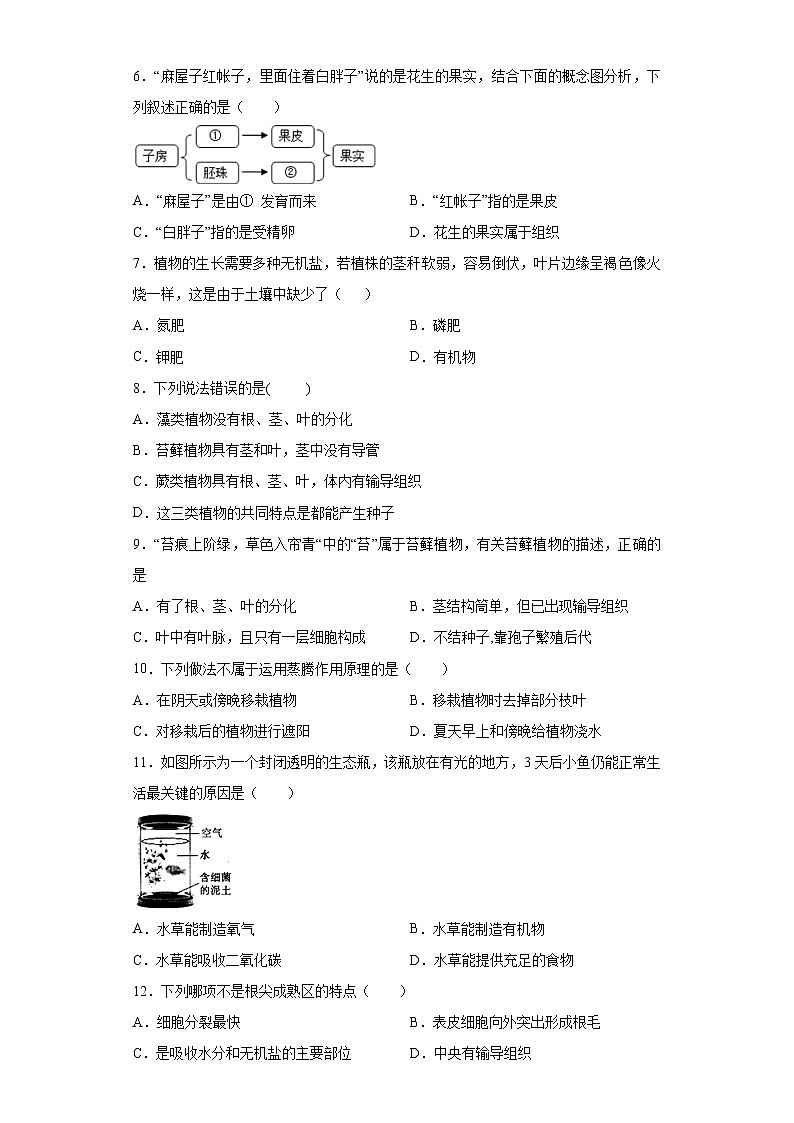 初中生物中考复习 专题03 生物圈中的绿色植物(原卷版)02