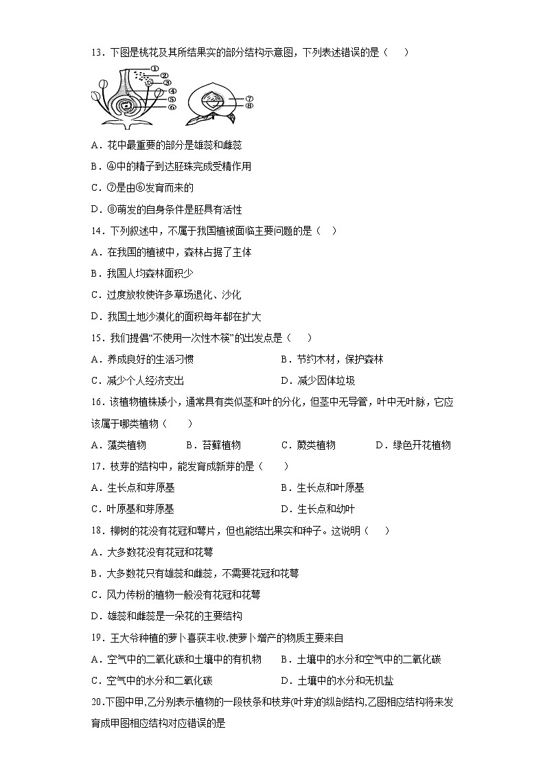 初中生物中考复习 专题03 生物圈中的绿色植物(原卷版)03