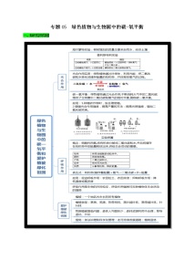 初中生物中考复习 专题05 绿色植物与生物圈中的碳-氧平衡（解析版）