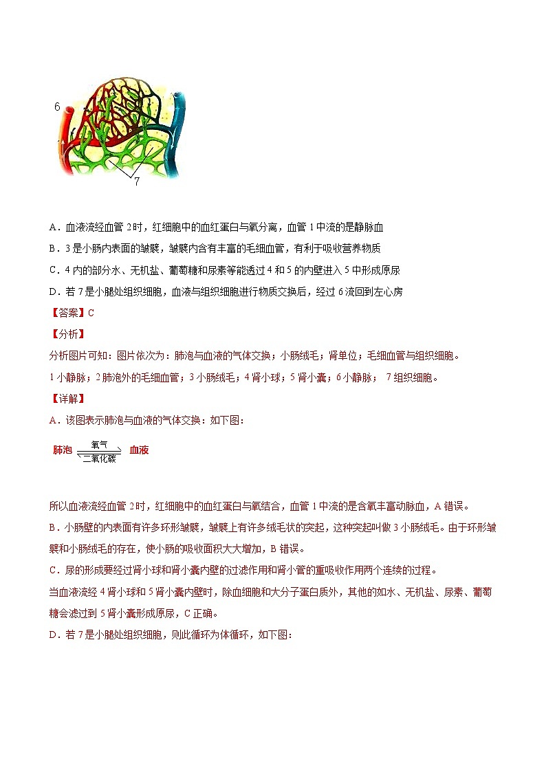初中生物中考复习 专题05 人体的营养和呼吸-2021年中考生物真题分项汇编(全国通用)(第1期)(解析版)第3页