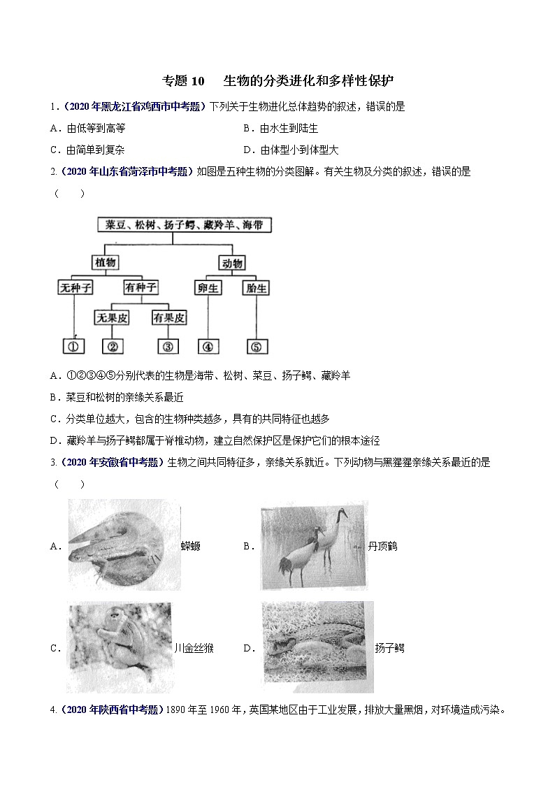 初中生物中考复习 专题10 生物的分类进化和多样性保护-2020年中考生物真题分项汇编(全国通用)(原卷版)01
