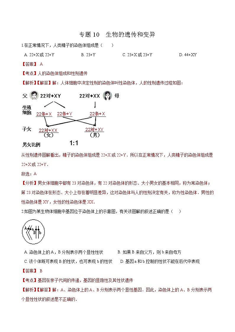 初中生物中考复习 专题10 生物的遗传和变异-冲刺2020年中考生物易错点集中专项训练(解析版)第1页