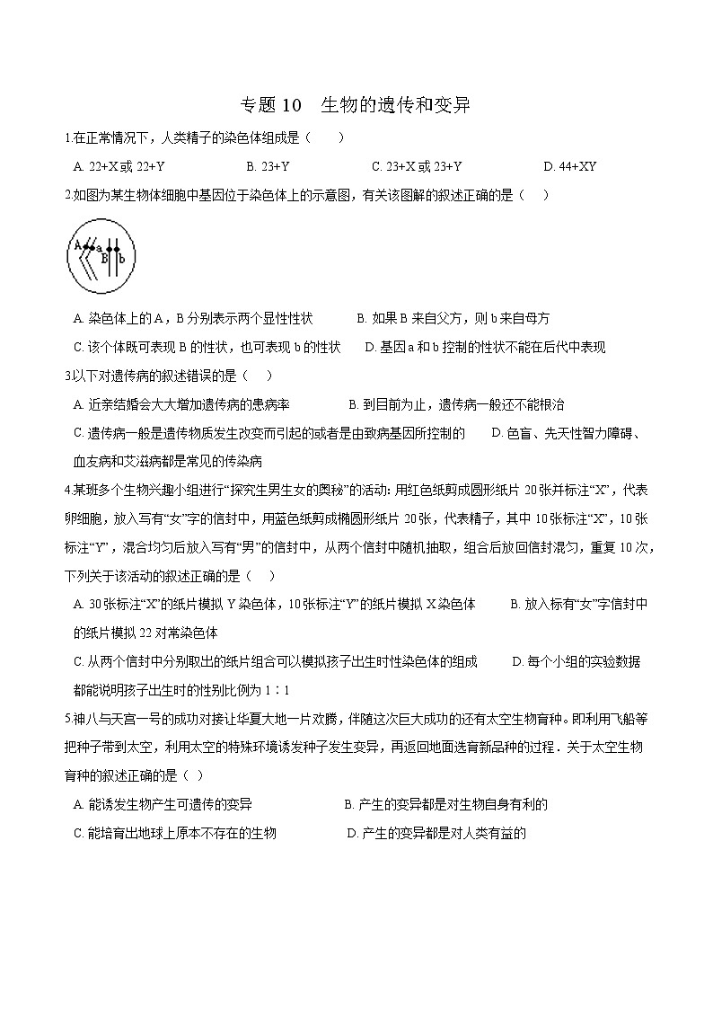 初中生物中考复习 专题10 生物的遗传和变异-冲刺2020年中考生物易错点集中专项训练(原卷版)第1页