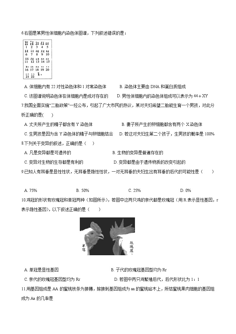 初中生物中考复习 专题10 生物的遗传和变异-冲刺2020年中考生物易错点集中专项训练(原卷版)第2页