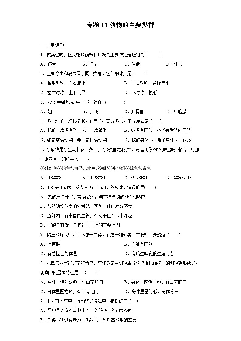 初中生物中考复习 专题11 动物的主要类群(原卷版)第1页