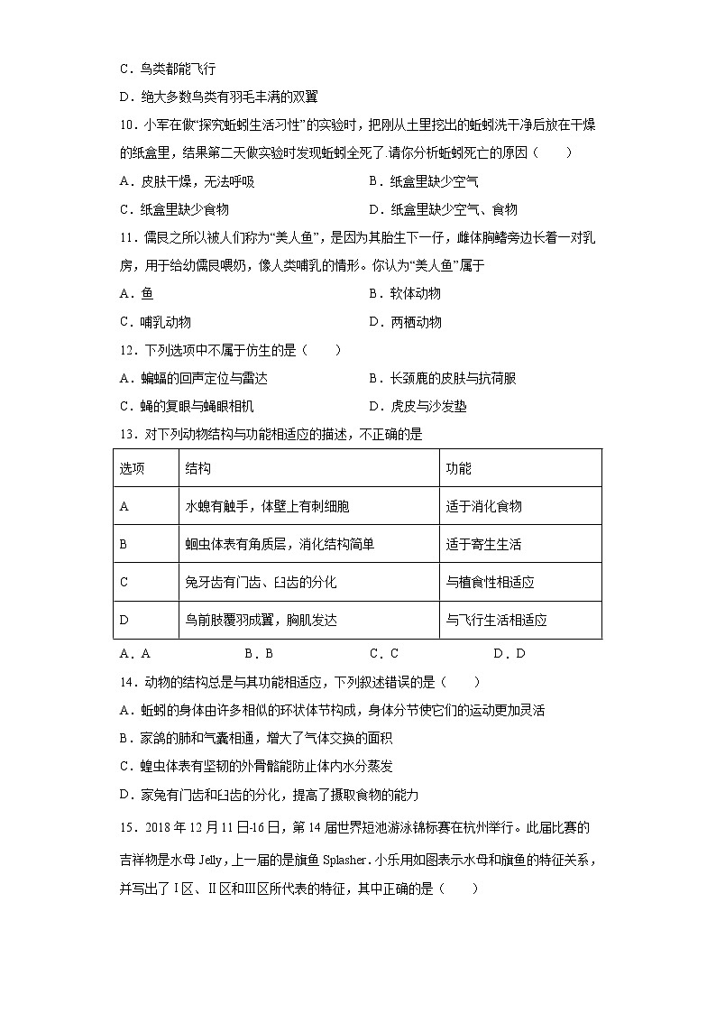 初中生物中考复习 专题11 动物的主要类群(原卷版)第2页