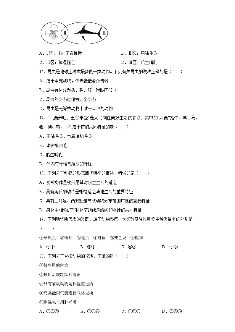 初中生物中考复习 专题11 动物的主要类群(原卷版)第3页