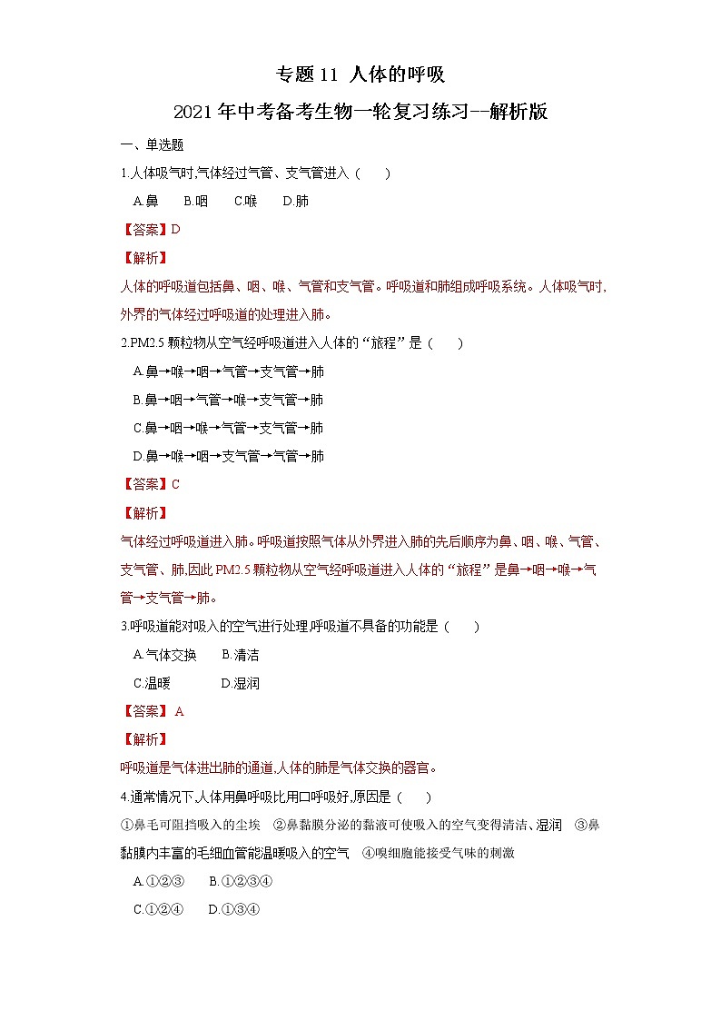 初中生物中考复习 专题11 人体的呼吸(练习)(解析版)01