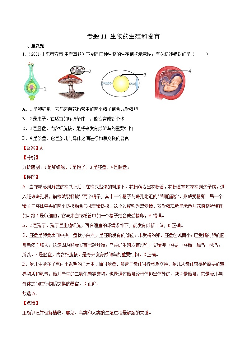 初中生物中考复习 专题11 生物的生殖和发育-2021年中考生物真题分项汇编(全国通用)(第1期)(解析版)01
