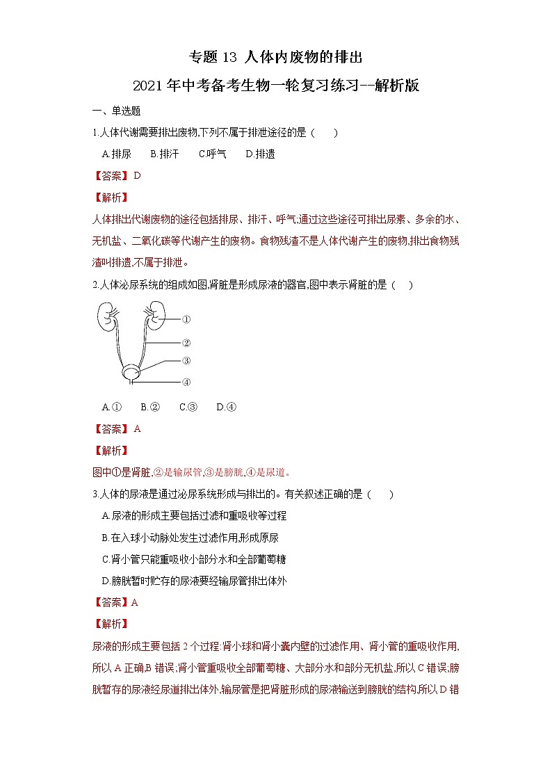 初中生物中考复习 专题13 人体内废物的排出(练习)(解析版)第1页