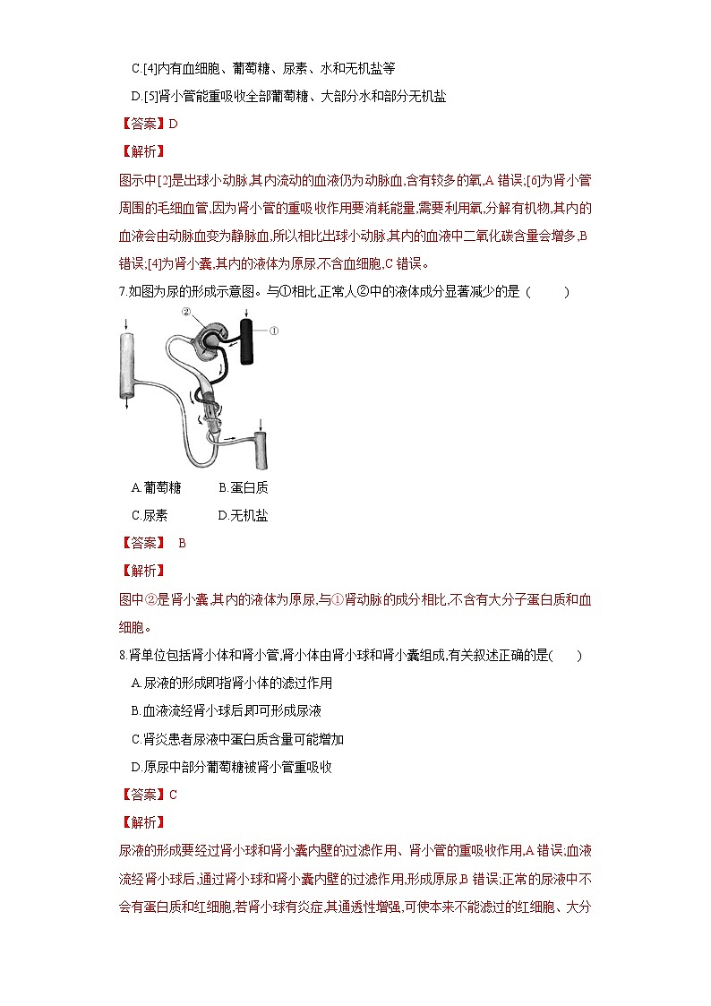 初中生物中考复习 专题13 人体内废物的排出(练习)(解析版)第3页