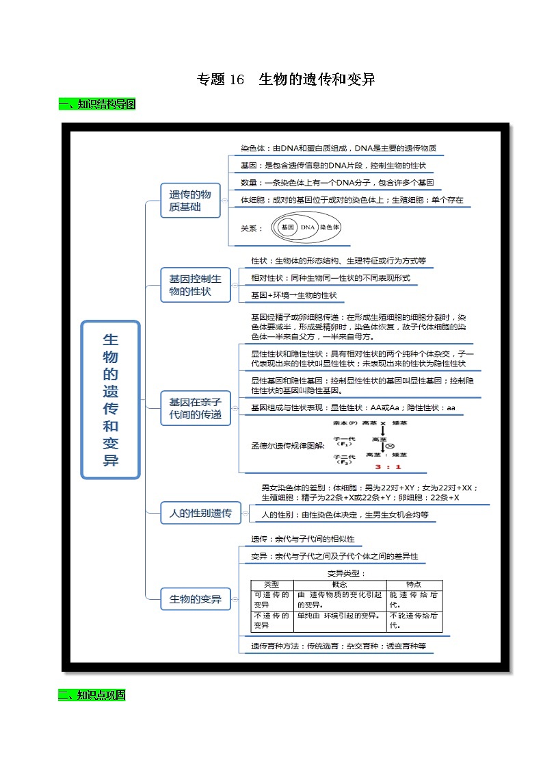 初中生物中考复习 专题16 生物的遗传和变异(原卷版)第1页