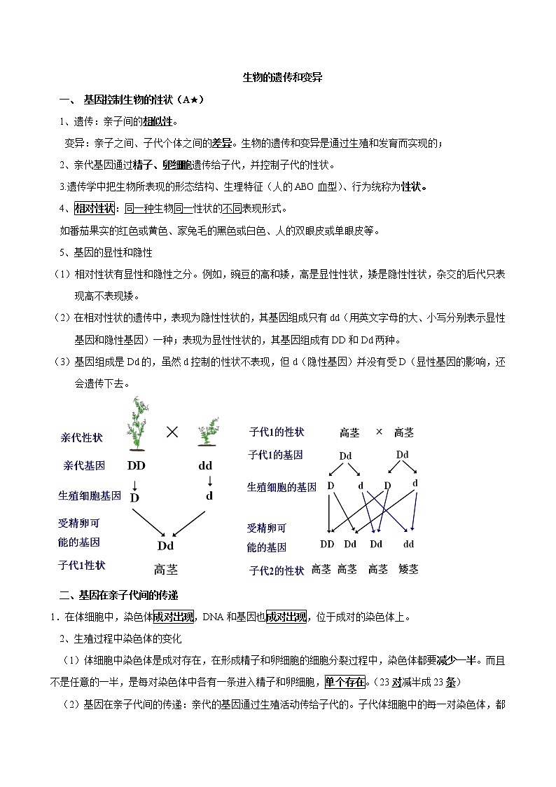 初中生物中考复习 专题16 生物的遗传和变异(原卷版)第2页