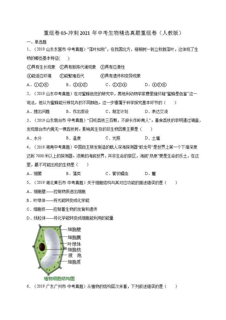 初中生物中考复习 重组卷03-冲刺2021年中考生物精选真题重组卷(人教版)(原卷版)第1页