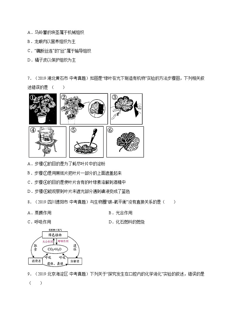 初中生物中考复习 重组卷03-冲刺2021年中考生物精选真题重组卷(人教版)(原卷版)第2页