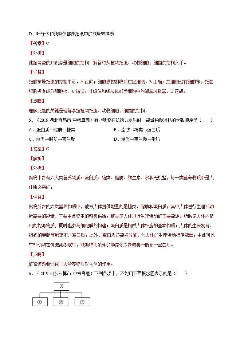 初中生物中考复习 重组卷04-冲刺2021年中考生物精选真题重组卷(人教版)(解析版)第3页