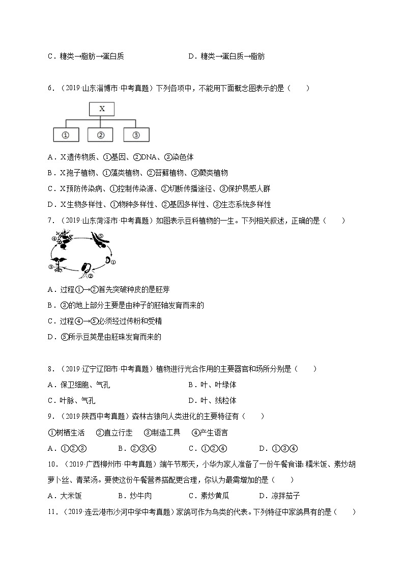 初中生物中考复习 重组卷04-冲刺2021年中考生物精选真题重组卷(人教版)(原卷版)第2页