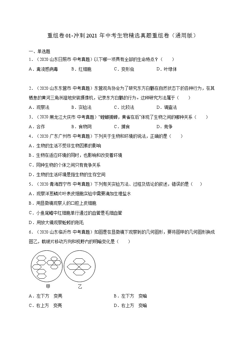 初中生物中考复习 重组卷04-冲刺2021年中考生物精选真题重组卷(通用版)(原卷版)第1页