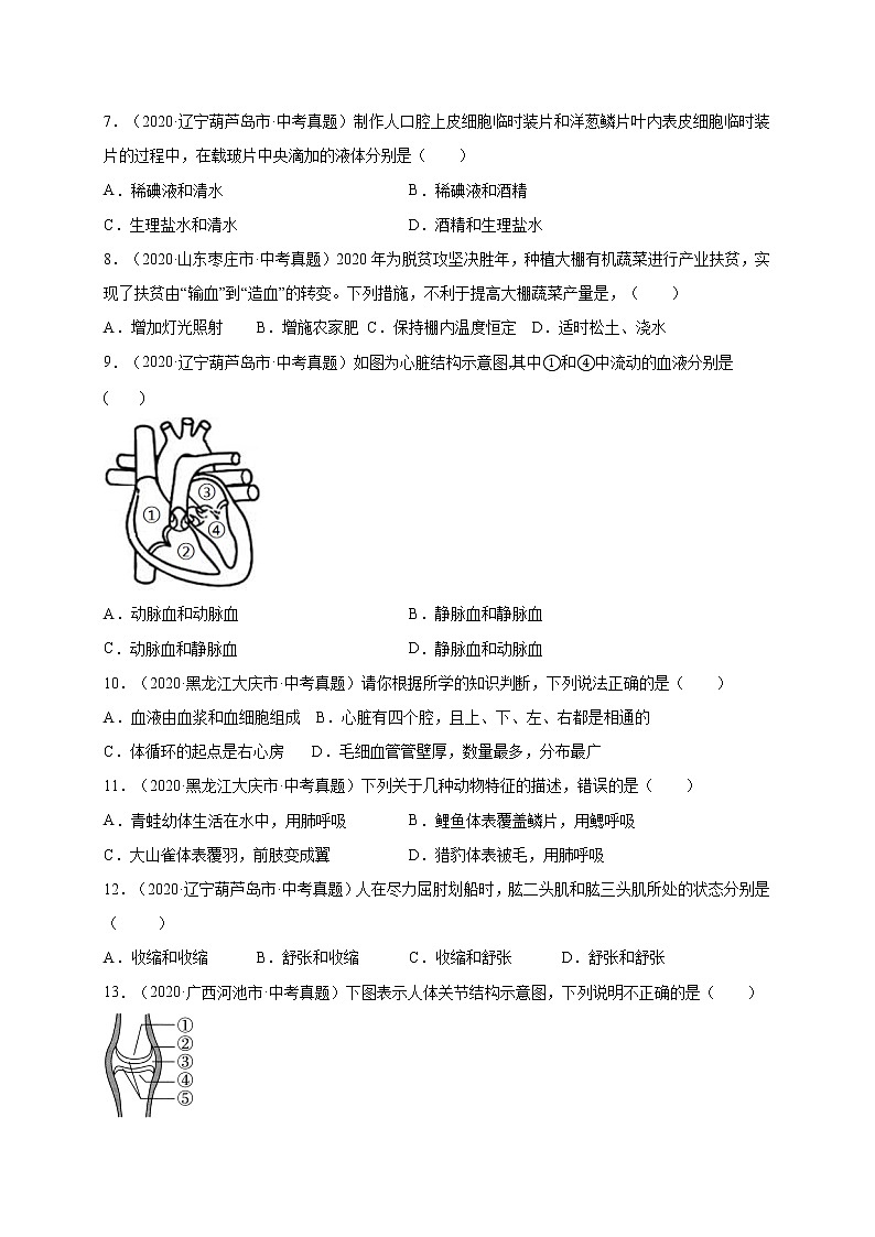 初中生物中考复习 重组卷04-冲刺2021年中考生物精选真题重组卷(通用版)(原卷版)第2页