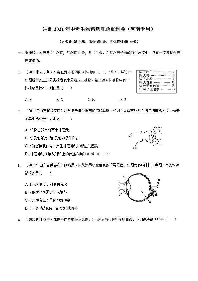 初中生物中考复习 重组卷05-冲刺2021年中考生物精选真题重组卷(河南专用)第1页
