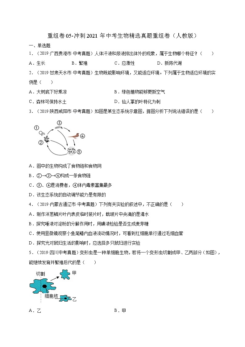 初中生物中考复习 重组卷05-冲刺2021年中考生物精选真题重组卷(人教版)(原卷版)第1页